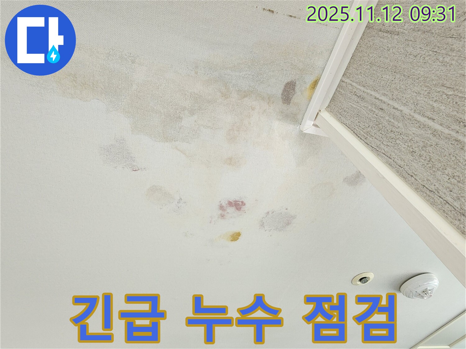 경기도 포천시 소흘읍 누수 - 긴급 누수 점검 현장