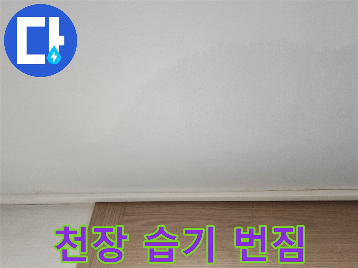 넓게-퍼진-형태의-천장-누수-얼룩-및-습윤-상태