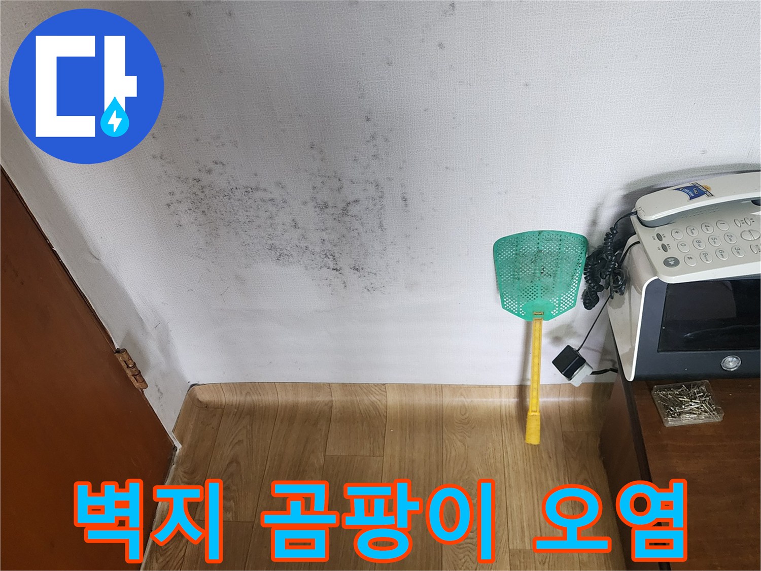 누수로 인해 넓게 퍼진 곰<0xAE>팡이와 습기 머금은 벽면