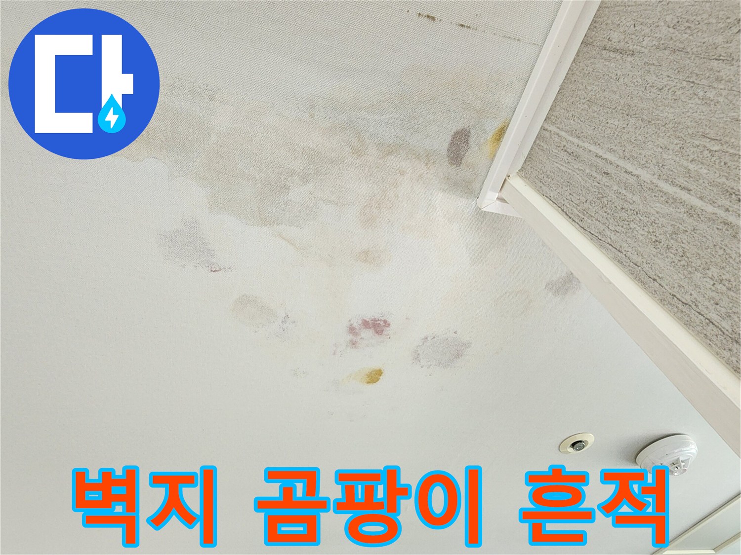 누수로 인해 발생한 벽면의 노란 얼룩과 곰팡이 증상