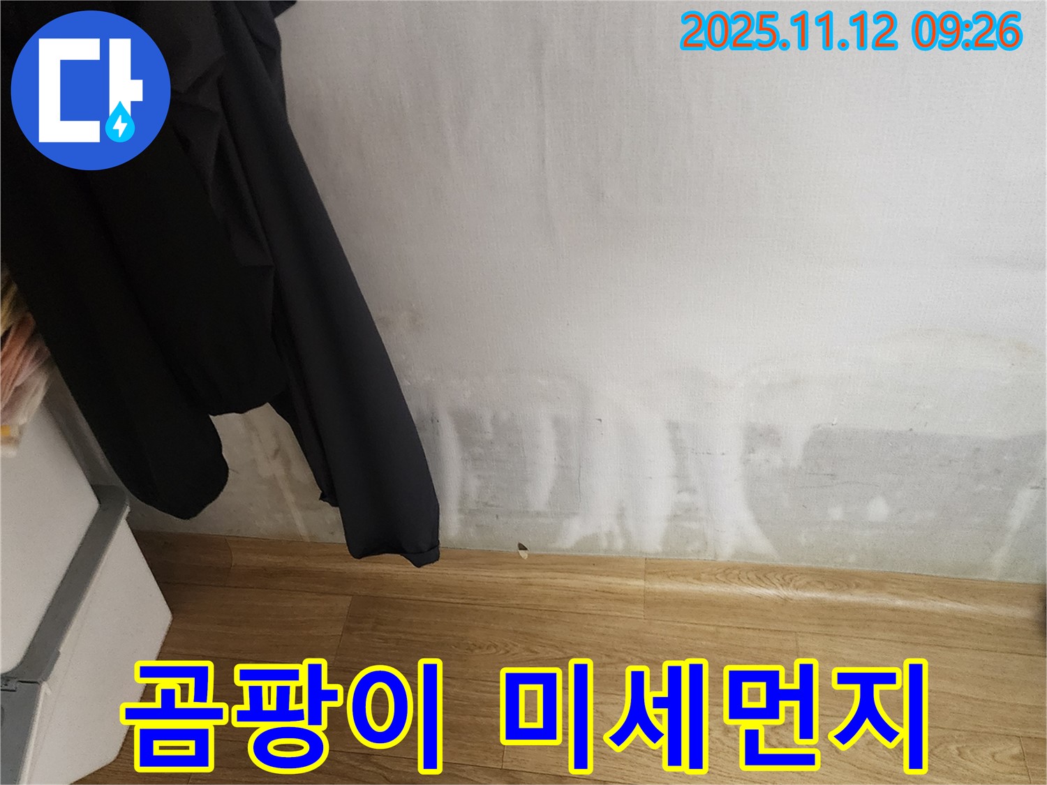 무봉리 누수 - 곰팡이 포자 - 실내 미세먼지 - 건강에 적신호!