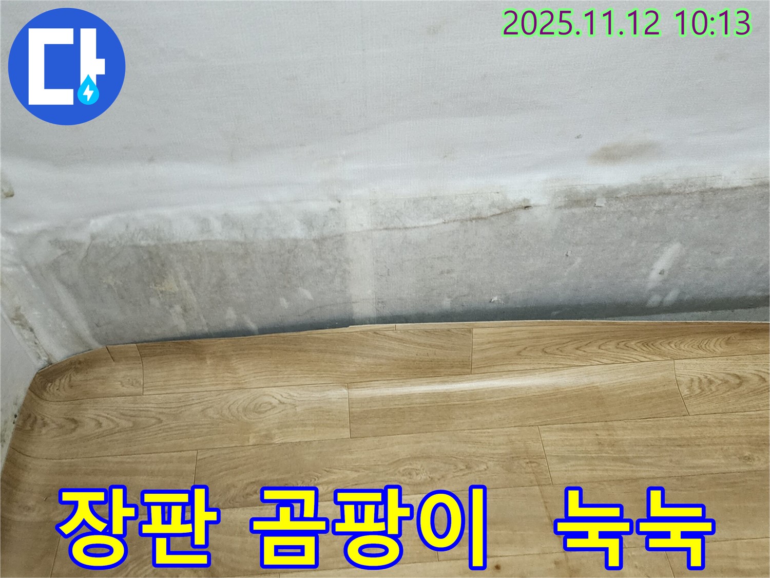 무봉리 누수 현장 - 장판 밑 곰팡이와 눅눅한 벽은 누수 신호일 수 있습니다