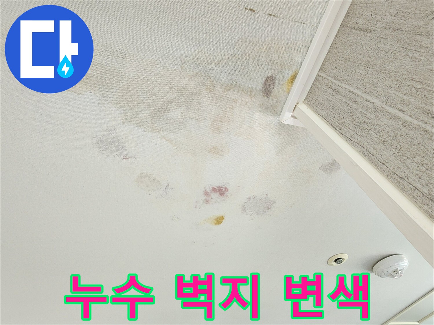 물샘 현상으로 인해 노랗게 변색된 아파트 벽지 표면