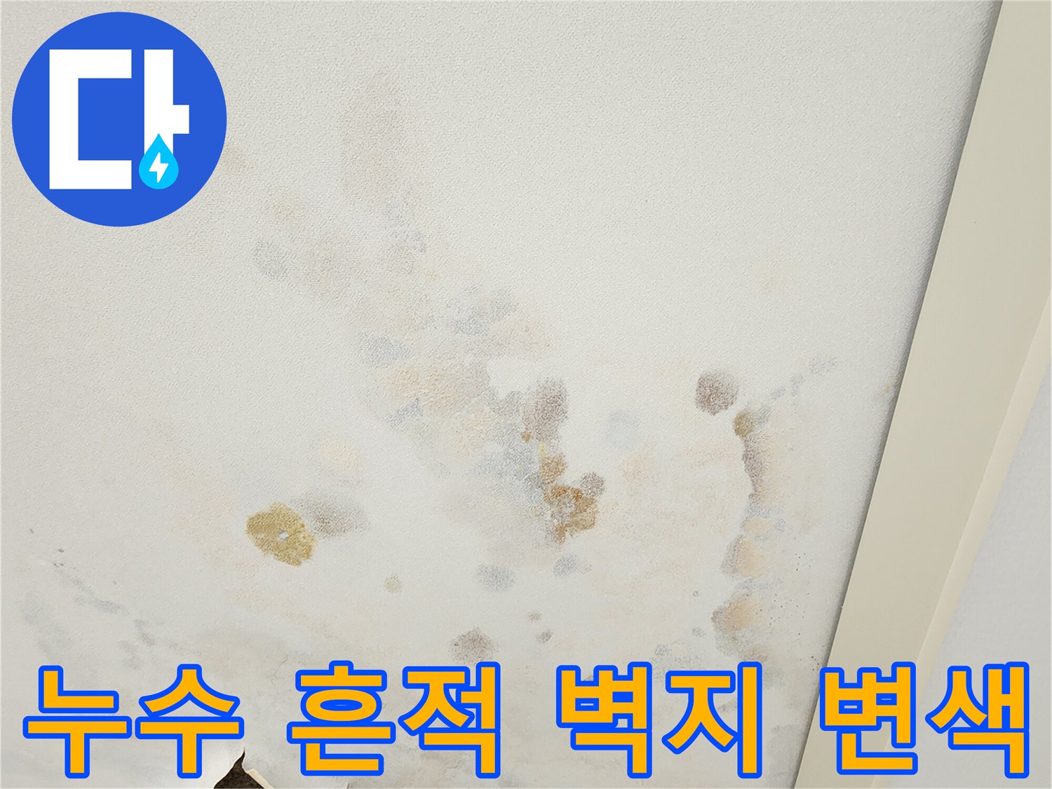 물샘으로 인해 변색된 천장 벽지와 찢어진 마감재 부위