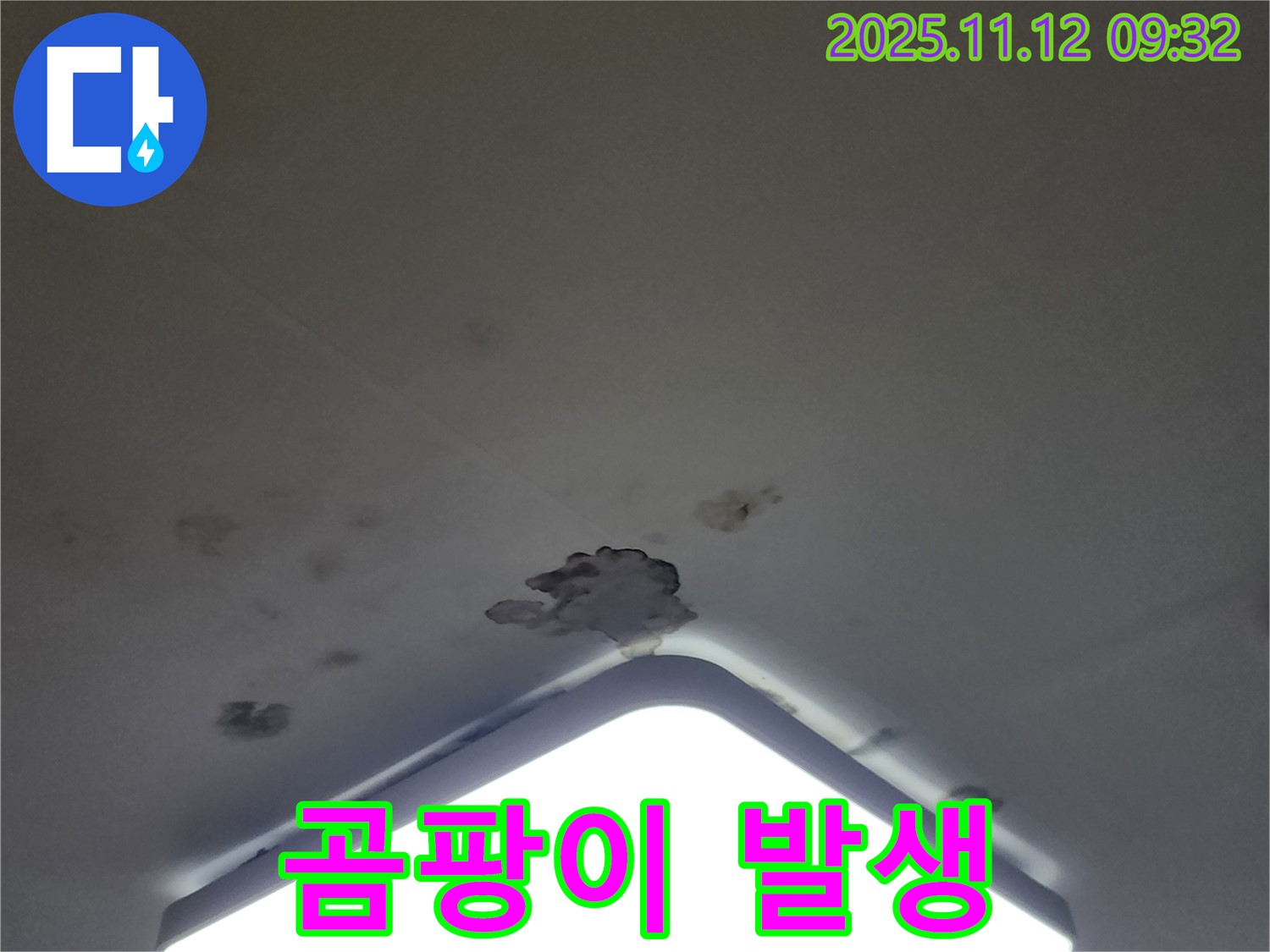 소흘읍 무봉리 천장 누수 - 곰팡이 발생 전 빠른 누수 해결