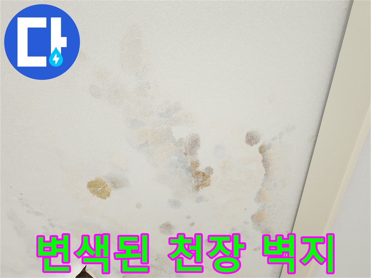 습기에 의해 변색되고 찢어진 천장 마감재 부위