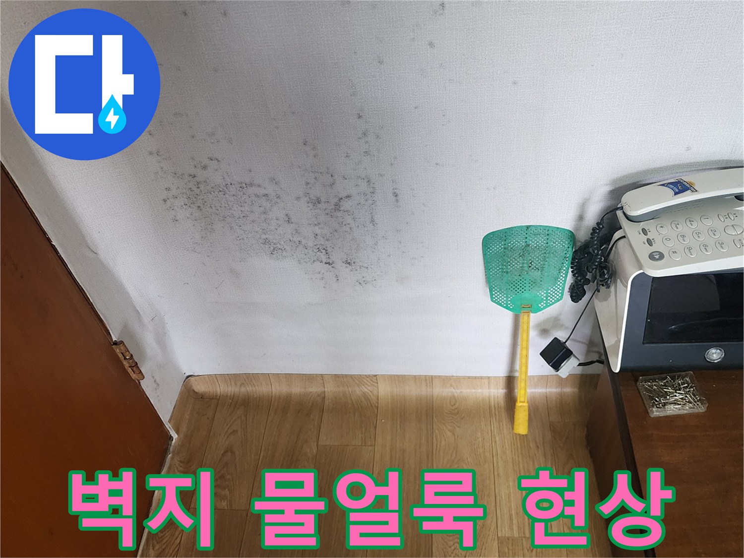 아파트 내부 벽면에 나타난 짙은 색의 물 얼룩과 곰팡이