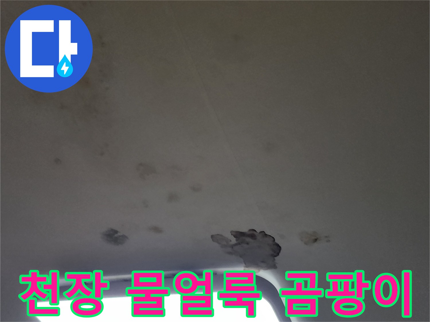 천장 조명 부근의 젖은 벽지와 곰팡이 발생 상태