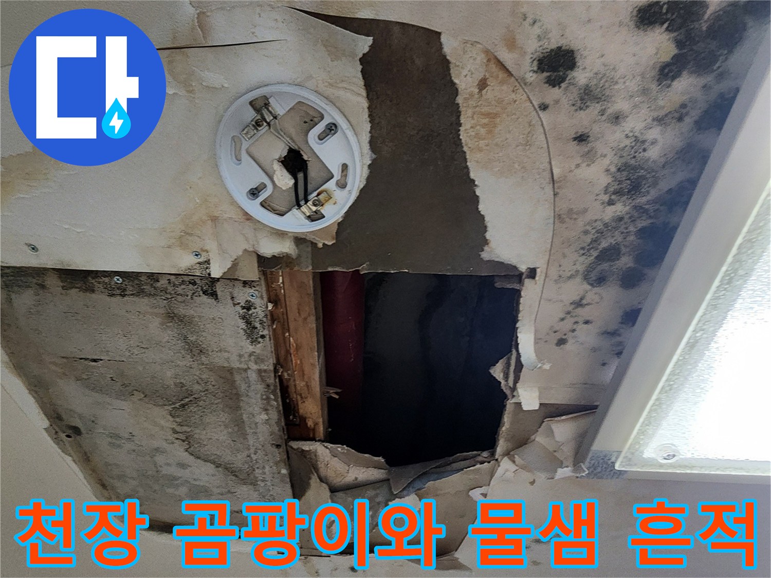 포천 무봉리 아파트 - 천장 곰팡이 및 물 얼룩 상태
