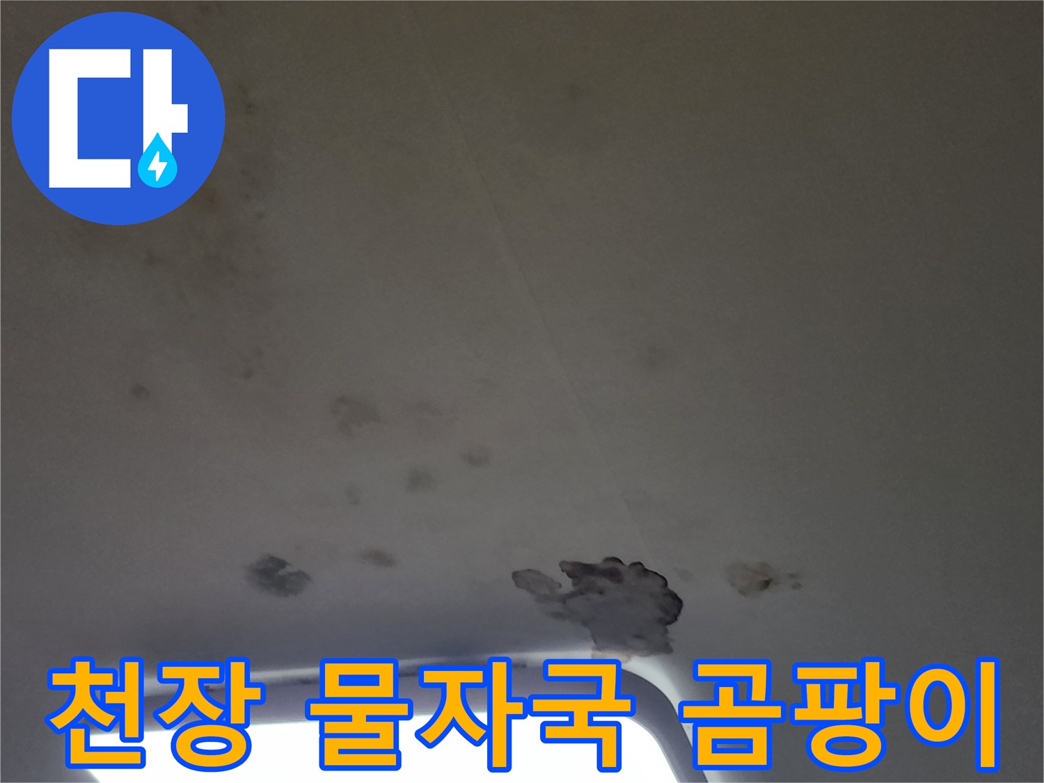 포천 소흘읍 아파트 거실 천장의 곰팡이와 물 얼룩 상태