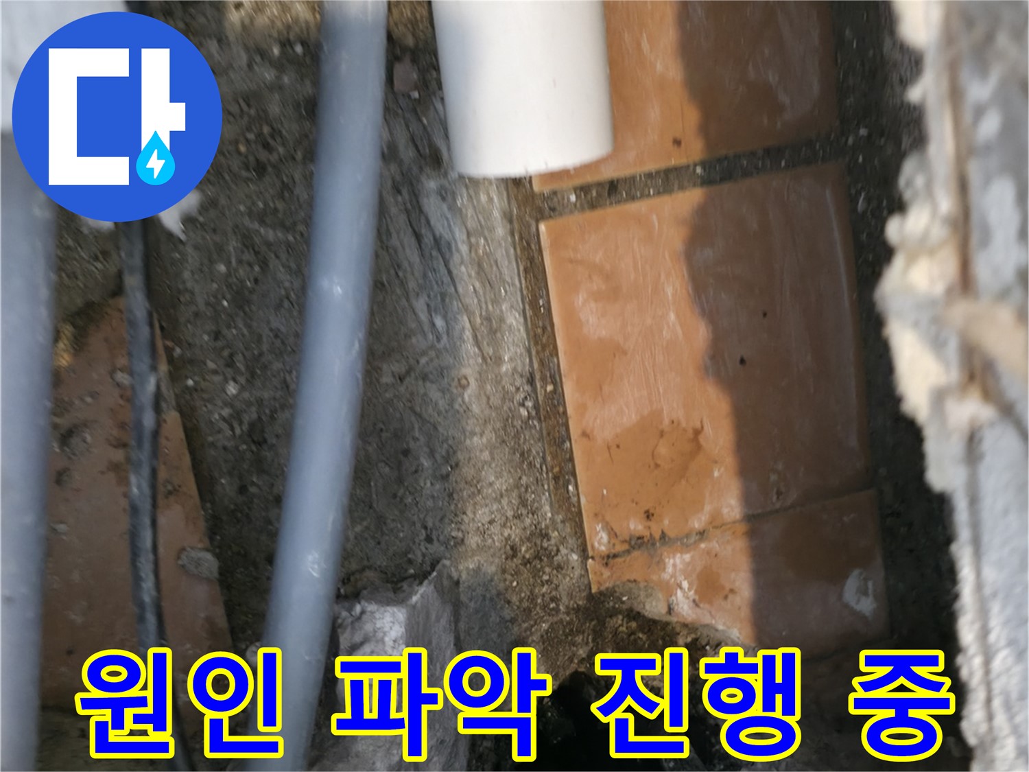 신림동 누수 공사 - 누수 원인 파악 작업 꼼꼼하게 진행 중
