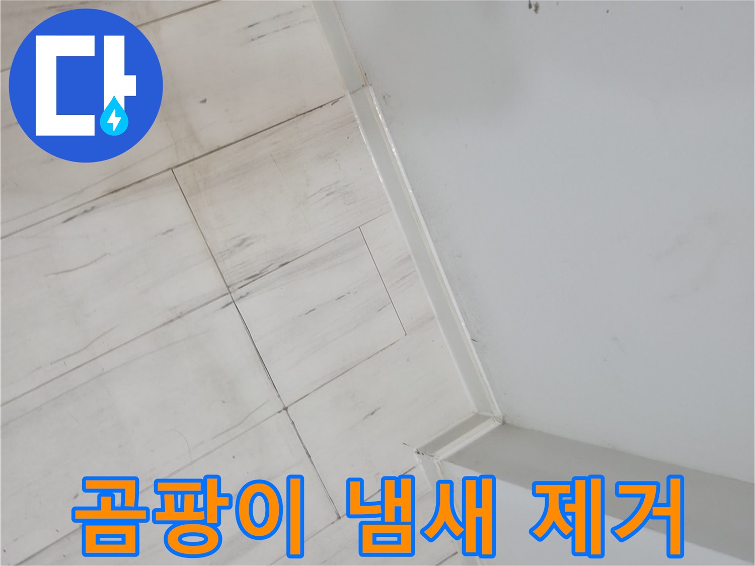 신림동 벽 하단 곰팡이 냄새 누수 안전 위협 예방