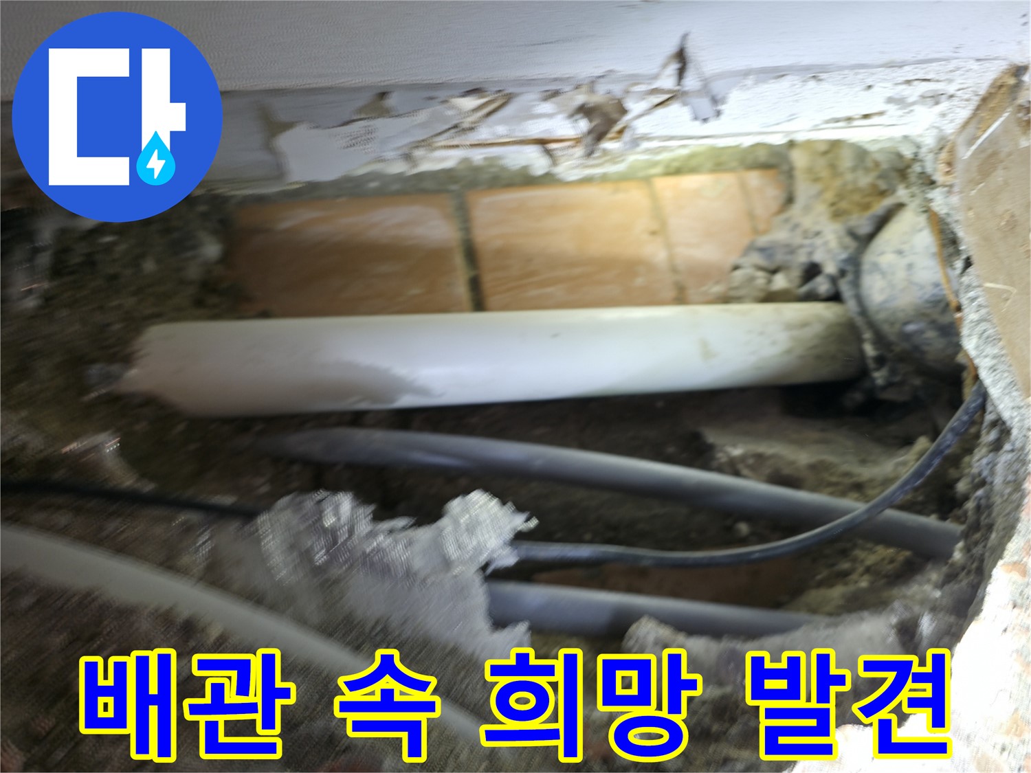 신림동 신림하이츠빌라 누수 - 굴착 작업, 복잡한 배관 속에서 희망 발견