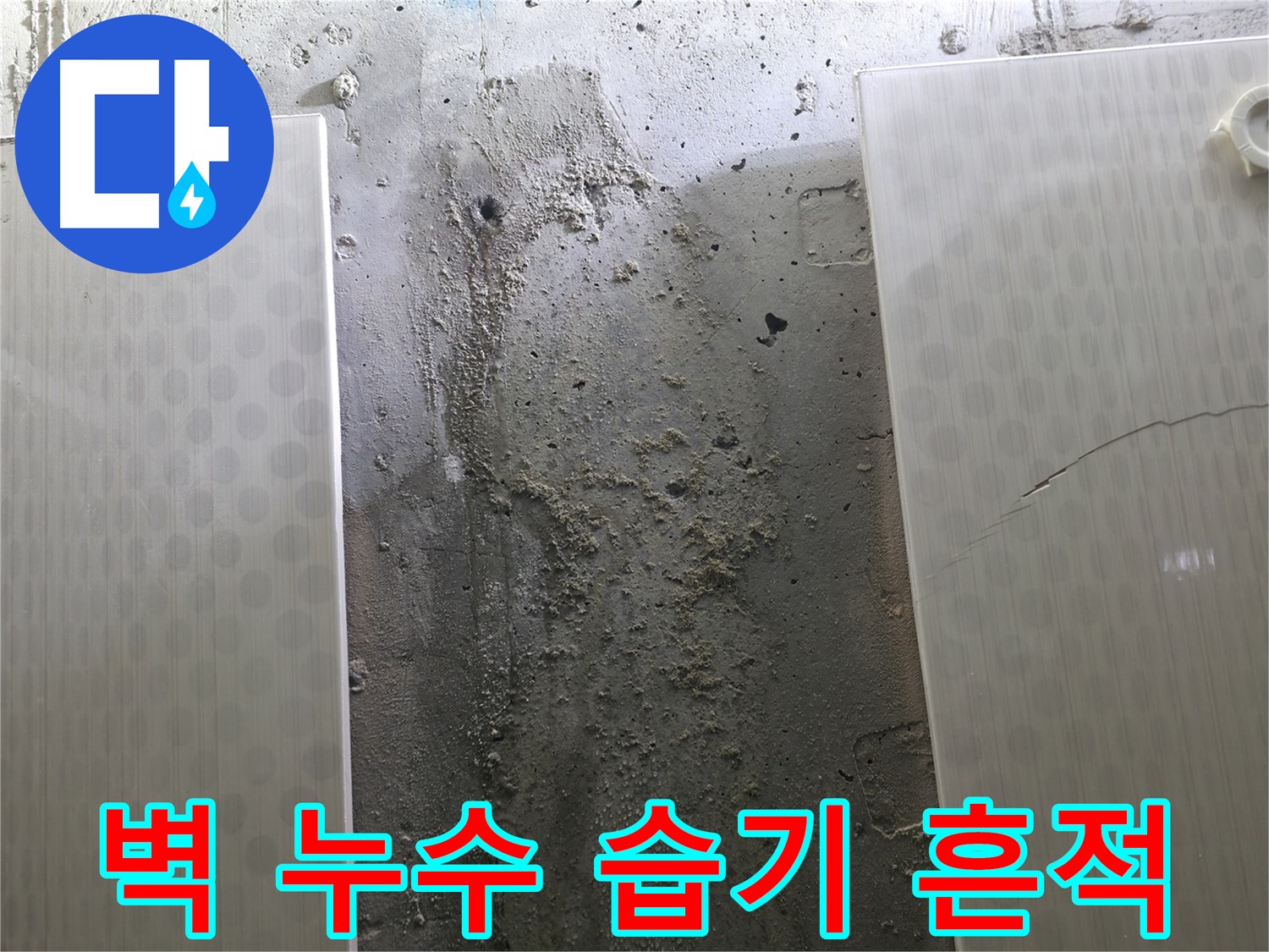 정릉동 스카이힐스테이 벽 누수 습기 흔적 진단 - 곰팡이 발생 가능성