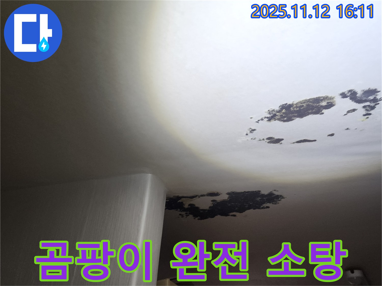 구읍리 누수 - 곰팡이 천장 완전 소탕, 누수 걱정 싹!