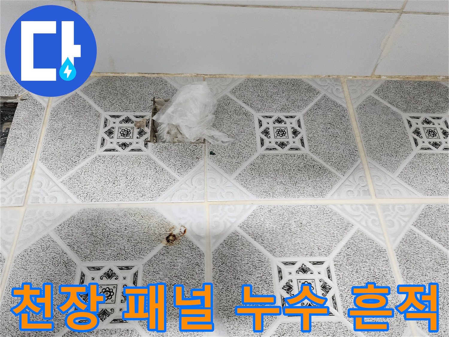 구읍리 현장 점검 - 젖어 있는 천장 돔 패널의 곰팡이 부위