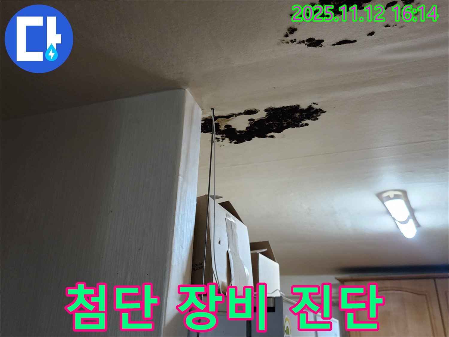 군내면 구읍리 누수 - 천장 곰팡이 완벽 제거 및 첨단 장비 누수 진단