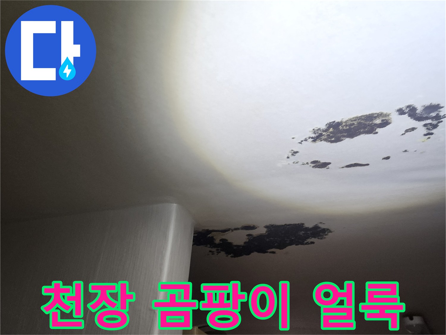 누수로 인해 검게 오염된 천장 도배지 상태