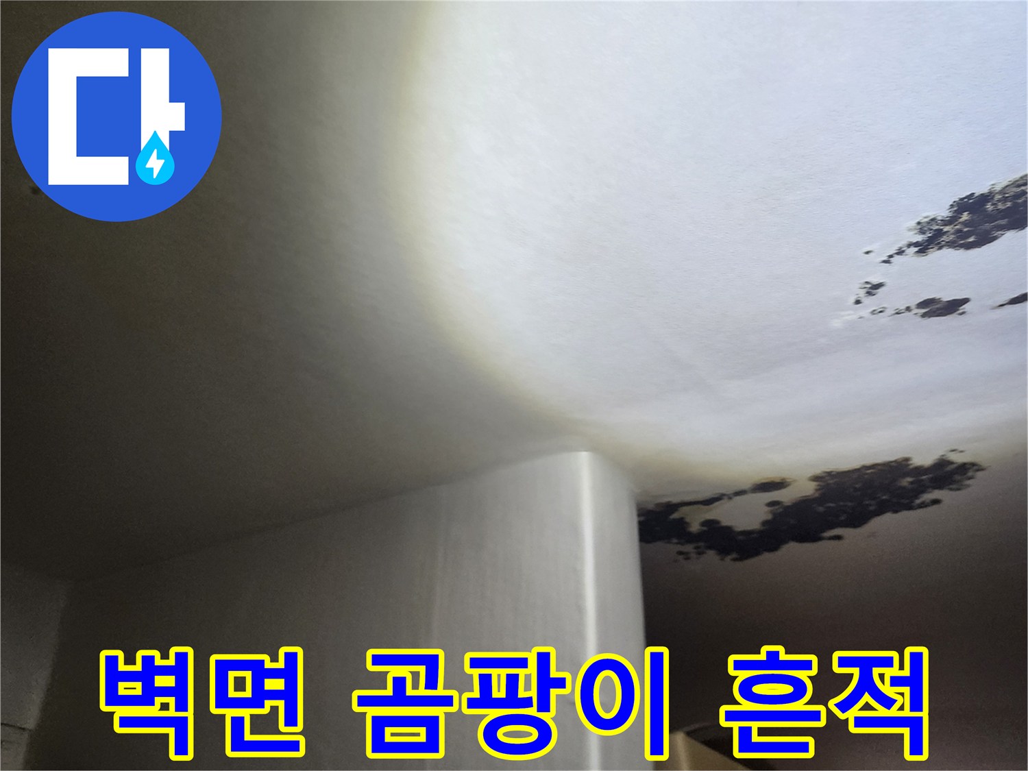 오염된 천장 벽면-물샘으로 인한 검은 곰팡이 발생 부위