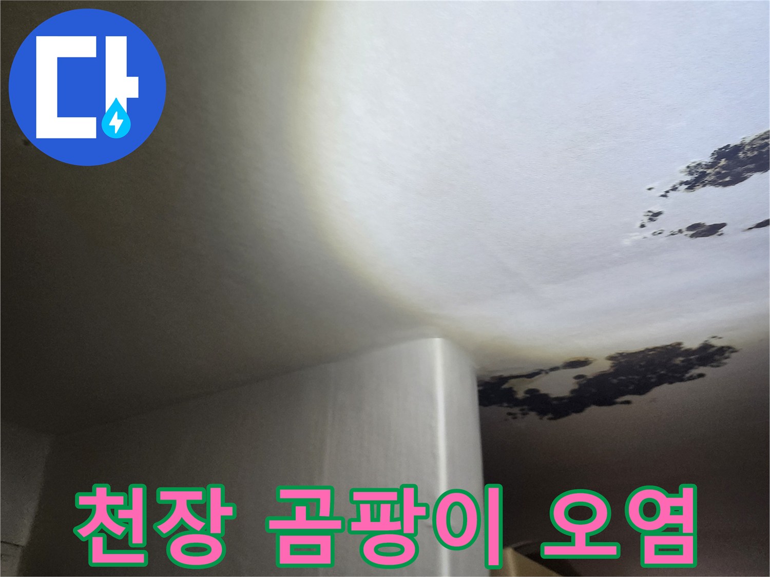 오염된 천장 부위-검은색 곰팡이가 번진 누수 흔적