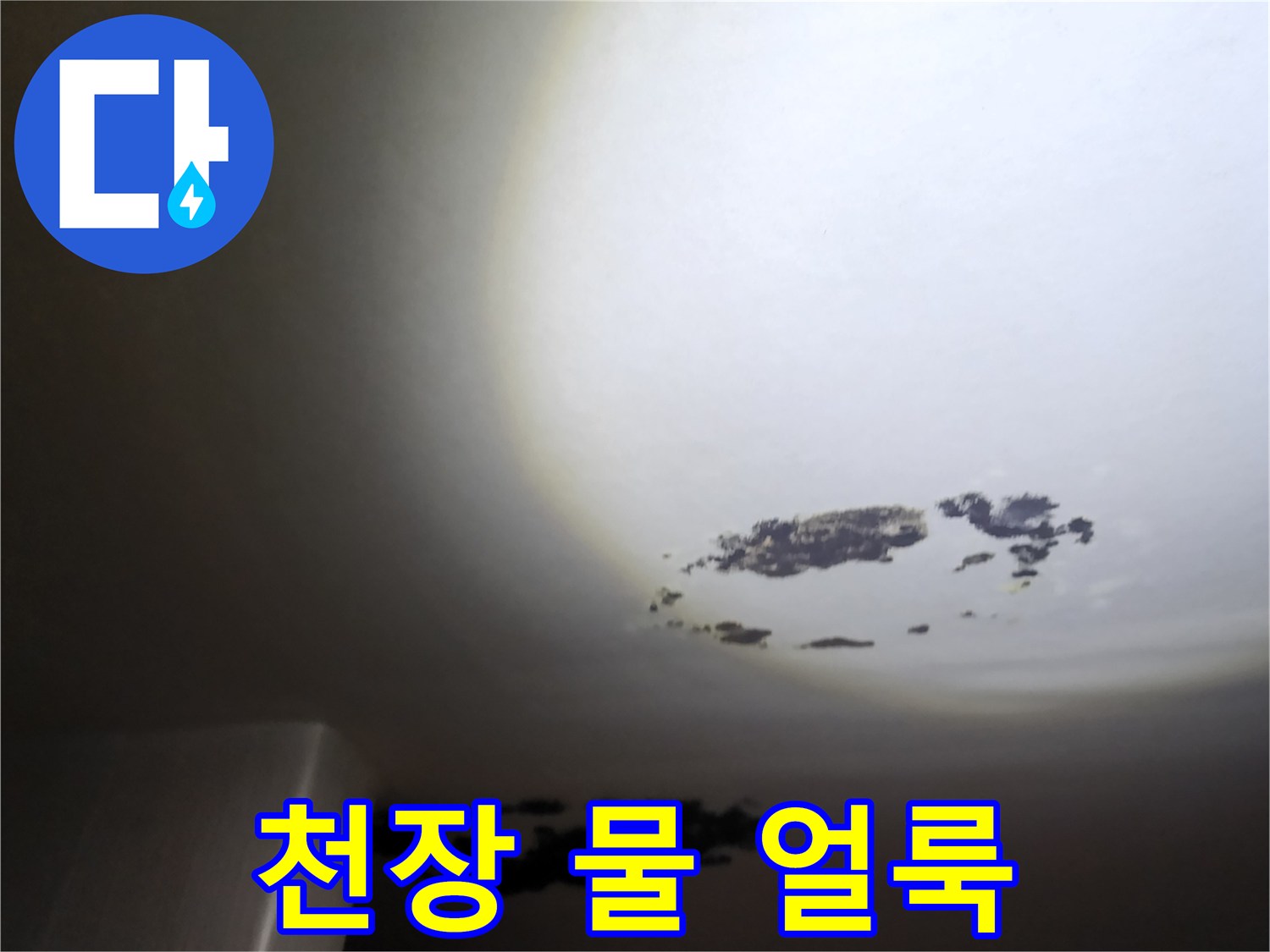 주방 천장에 발생한 검은 곰팡이와 습기 자국