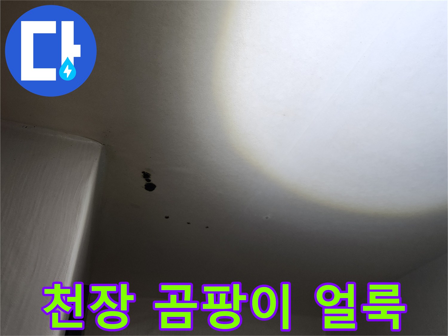 포천 구읍리 현장-천장에 발생한 검은 곰팡이와 물자국 상태