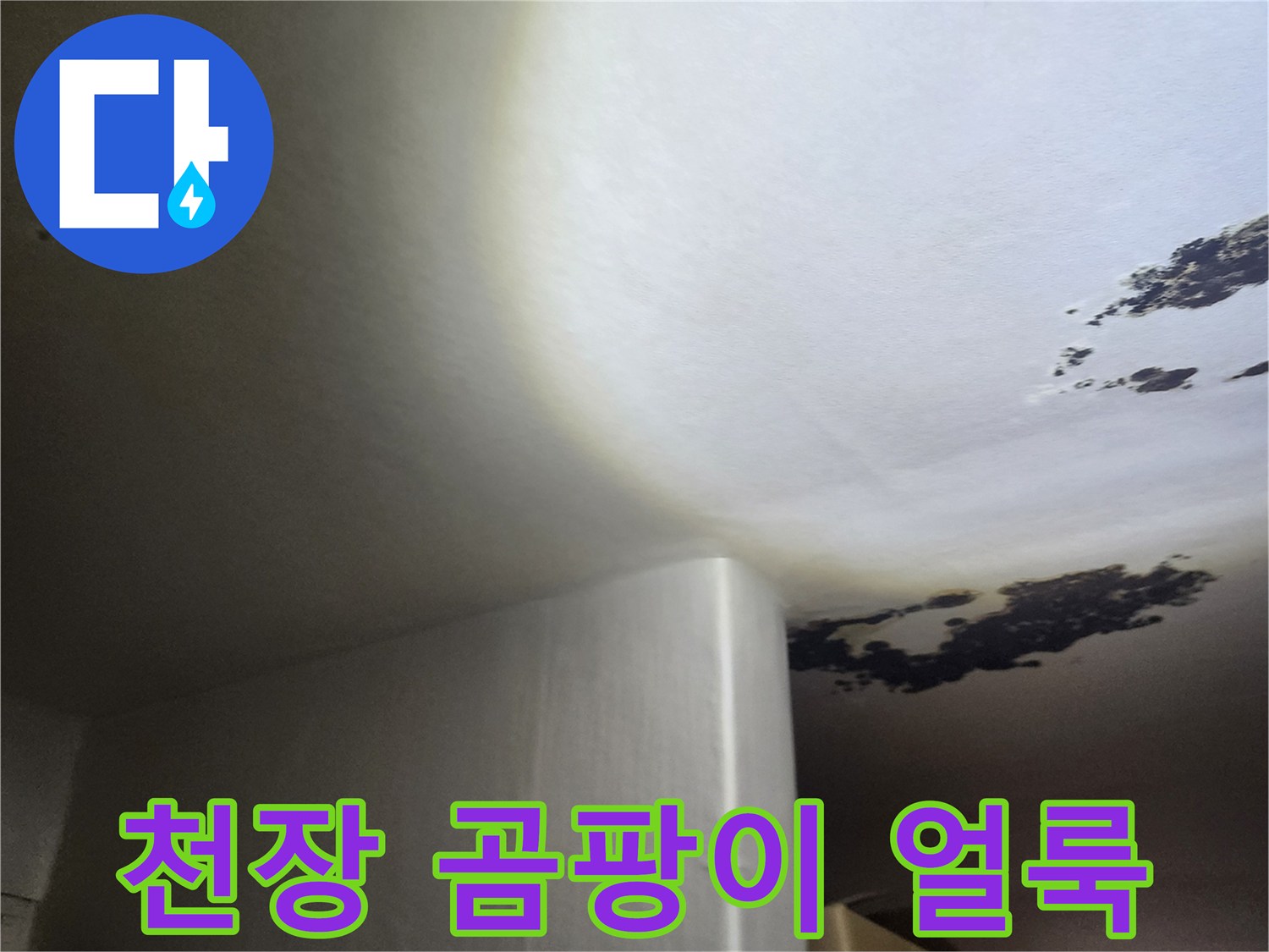 포천 구읍리 현장의 천장 곰팡이와 물자국 상태