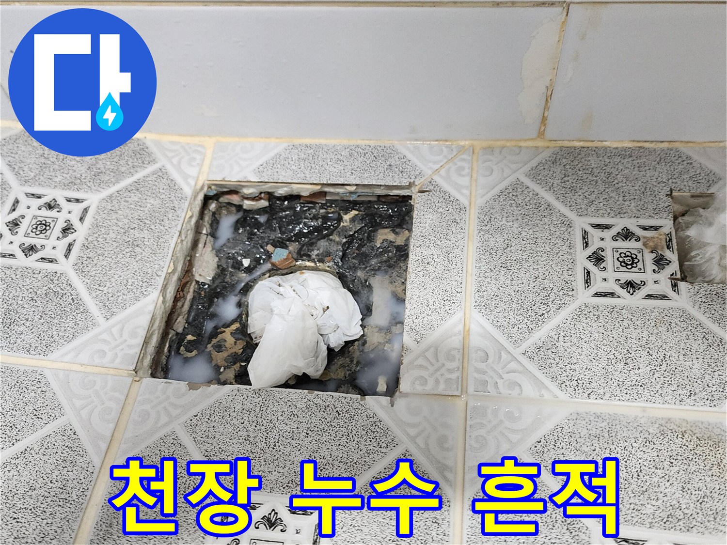 포천 구읍리 현장의 천장 타일 사이 물샘 흔적과 오염 상태