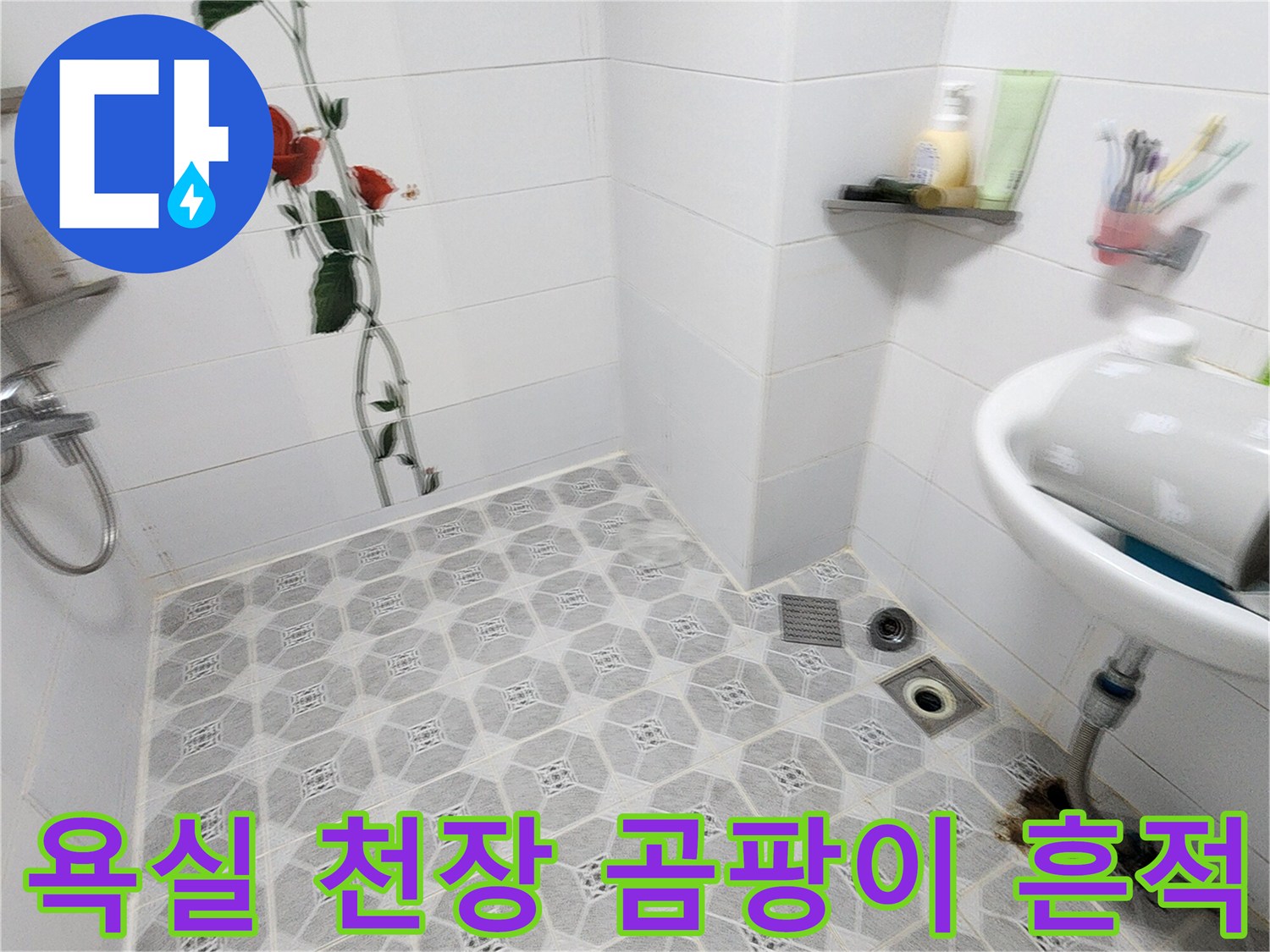 포천 구읍리 화장실 천장 마감재의 습기 및 오염 상태