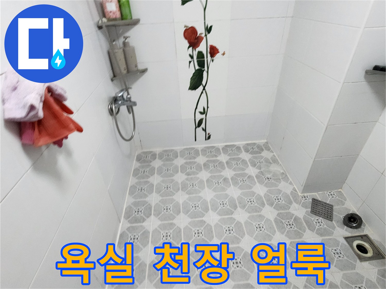 포천 군내면 현장의 욕실 천장 곰팡이와 물자국 상태