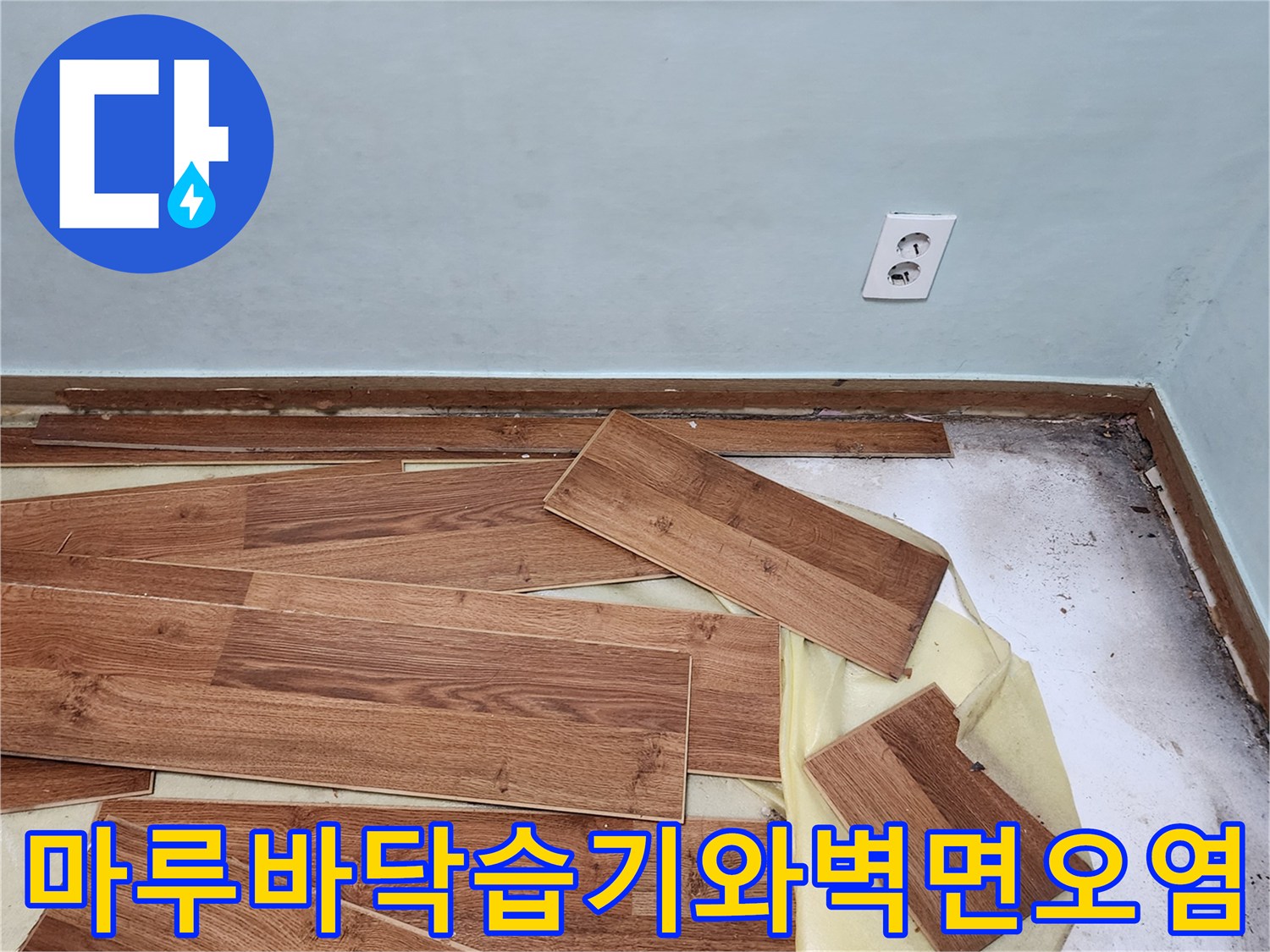 마루를-걷어낸-자리에서-발견된-벽체-하단-곰팡이와-습기