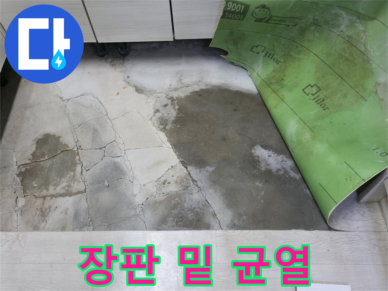 포천 빌라 누수 - 들뜬 장판 아래 콘크리트 균열 - 누수 의심