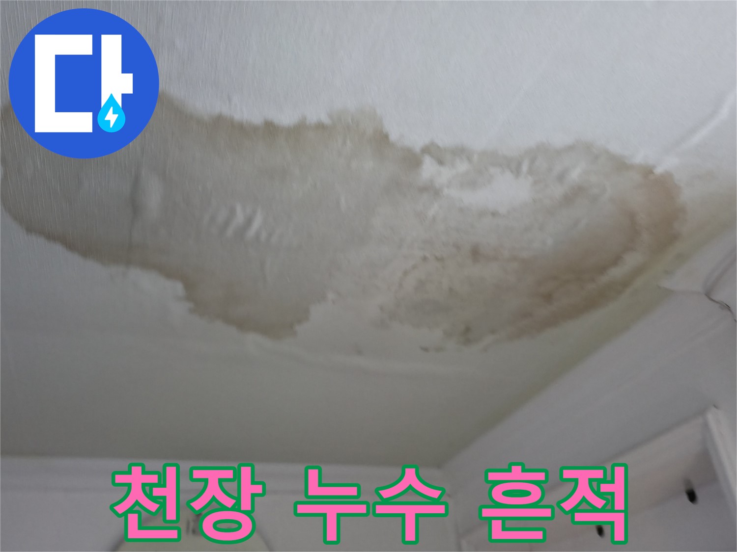 대림동 아파트 천장 누수 흔적 - 젖은 천장