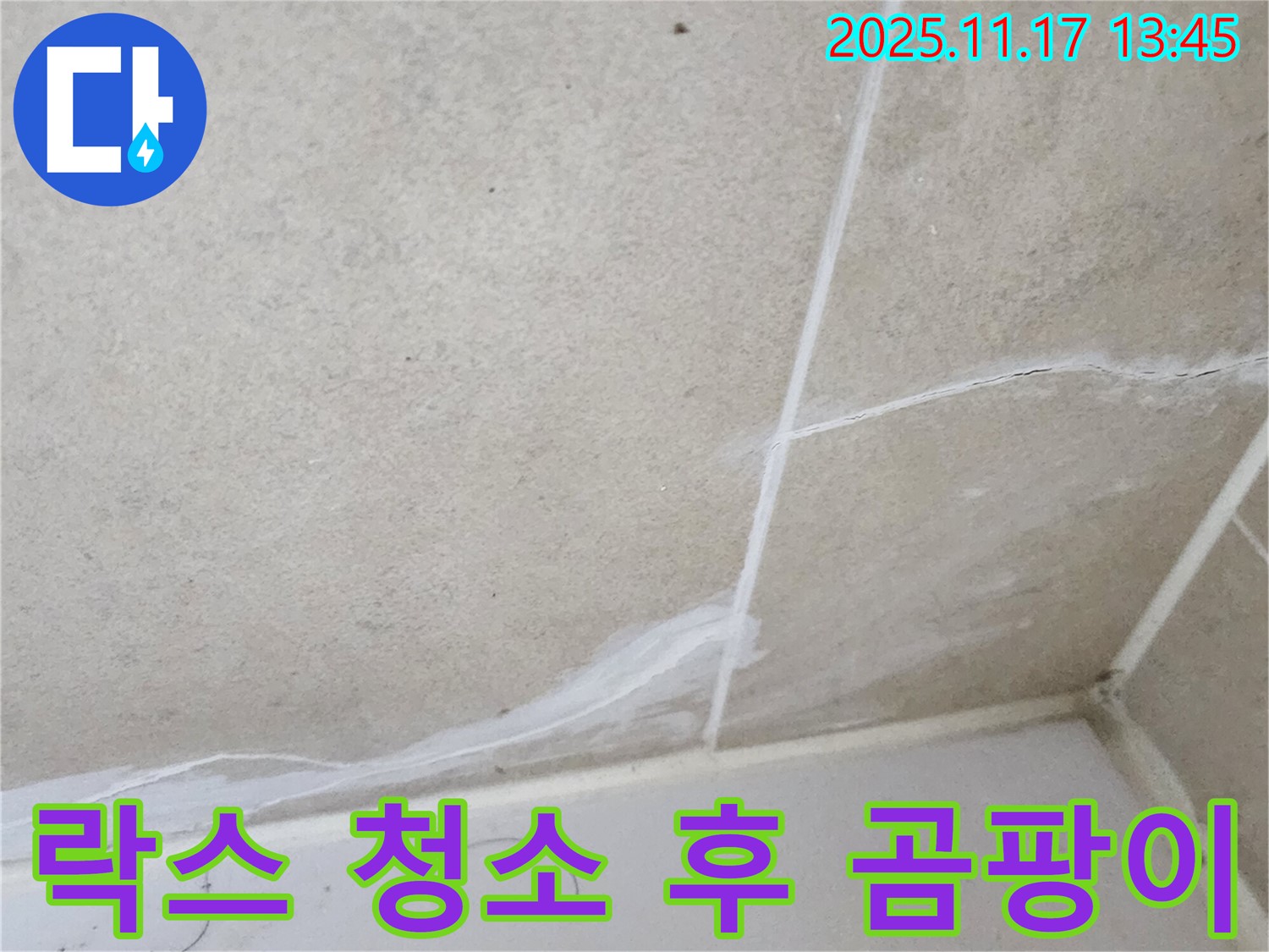 군내면 하성북리 누수 - 락스 청소 후에도 계속되는 욕실 실리콘 곰팡이, 근본적인 해결책은?
