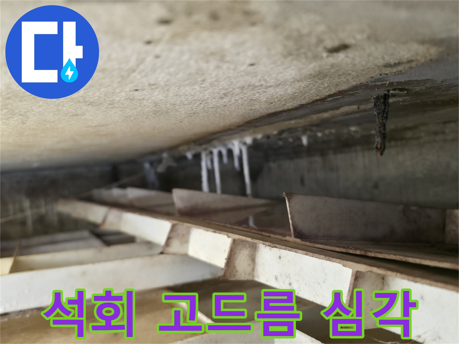 금천구 독산동 현진아트빌 천장 누수 - 석회 고드름은 누수의 심각성을 알려주는 명확한 증거입니다.