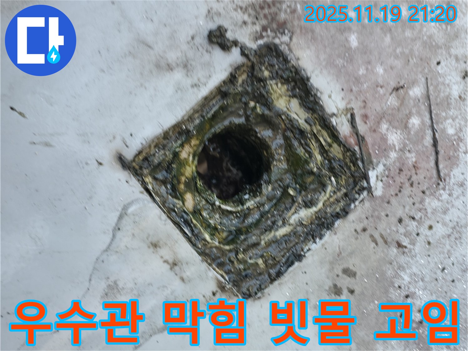 독산동 옥상 우수관 막힘 - 배수구 주변 빗물 고임으로 인한 누수 발생