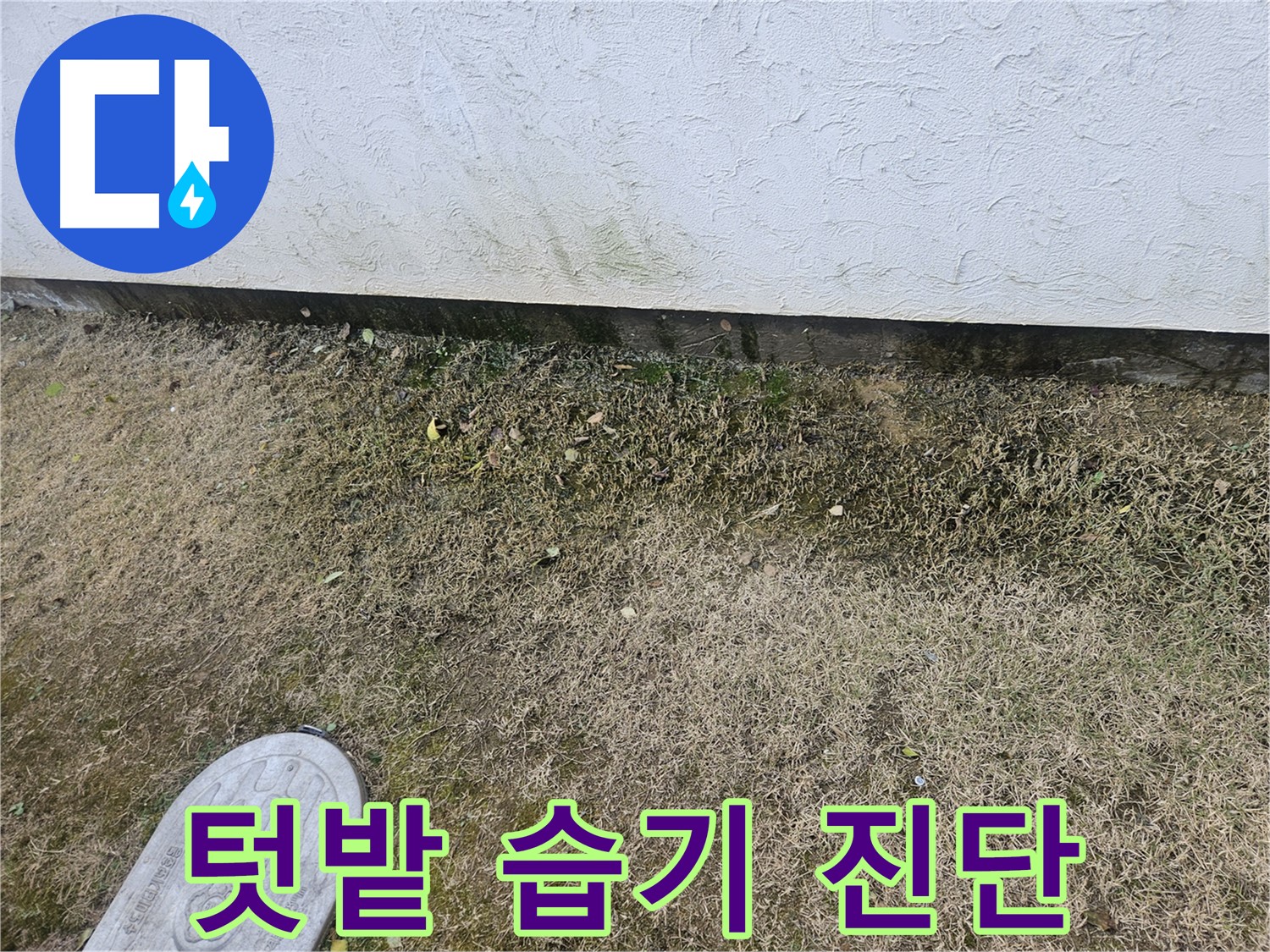 이천 모가면 누수 - 텃밭 주변 습기 과다 누수 가능성 진단