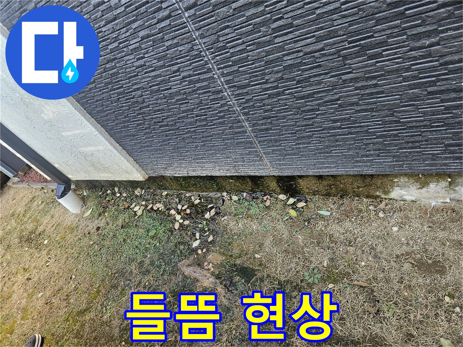 이천 아리 외벽 하부 들뜸 현상 - 습기로 인한 부식 - 보수 공사 필요