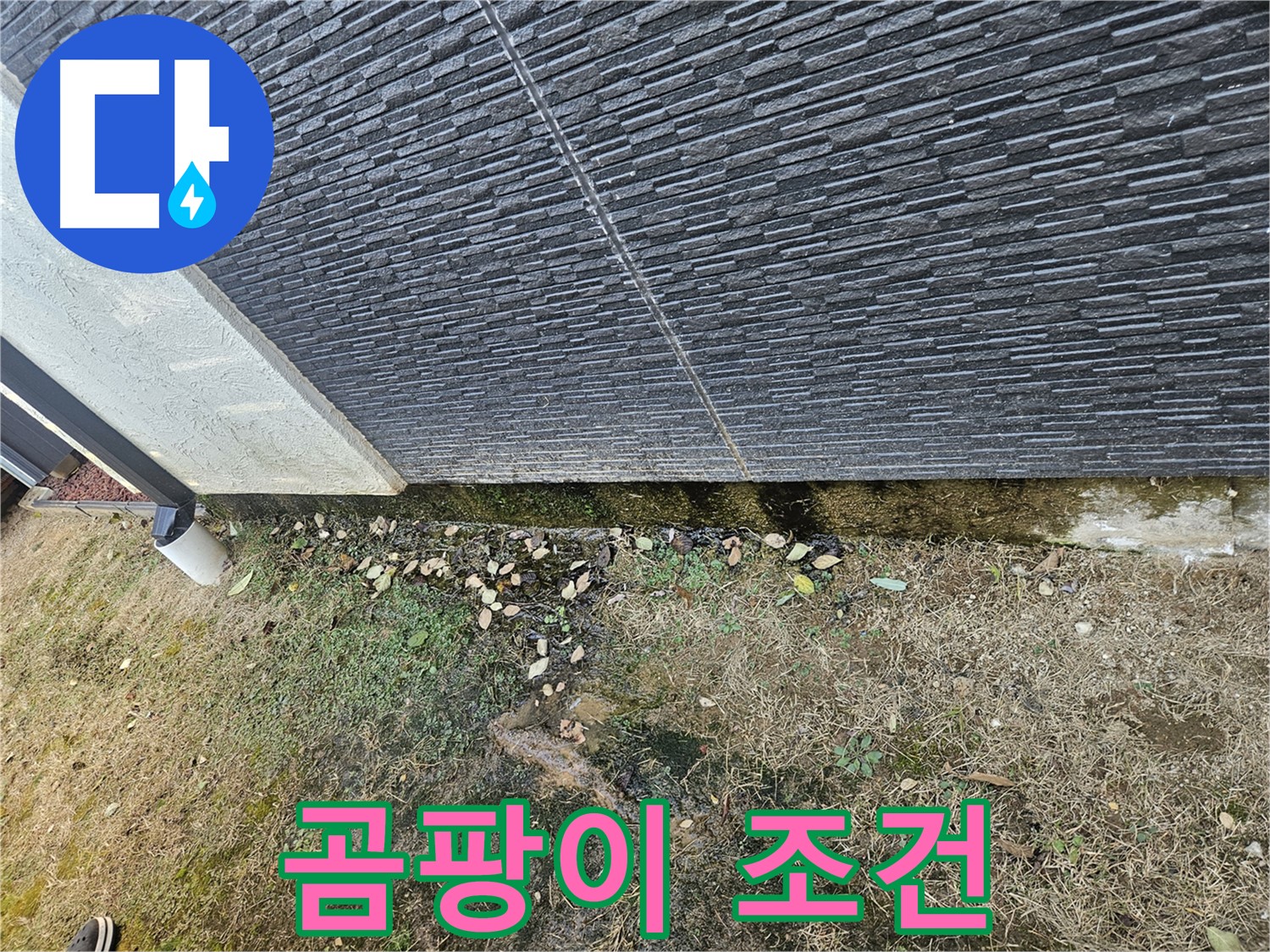 이천시 마장면 아리역로 주변 외벽 누수 의심 - 곰팡이 발생 조건 - 습도 관리 필수