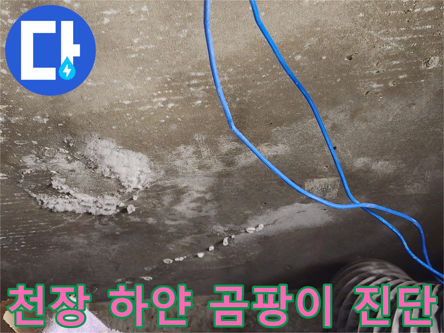 기흥구 보정동 콘크리트 천장 - 하얀 곰팡이 - 결로 또는 누수 진단