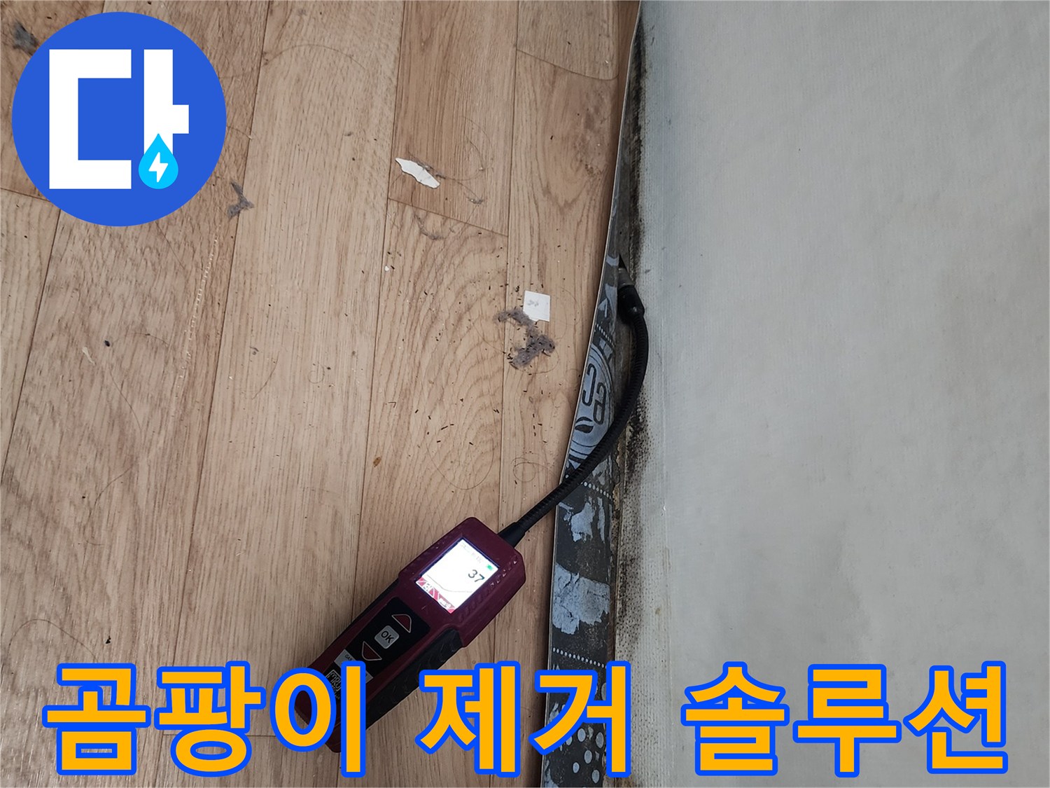 수원 정자동 누수 - 곰팡이, 누수 원인 심층 분석 후 곰팡이 완벽 제거 솔루션 제공