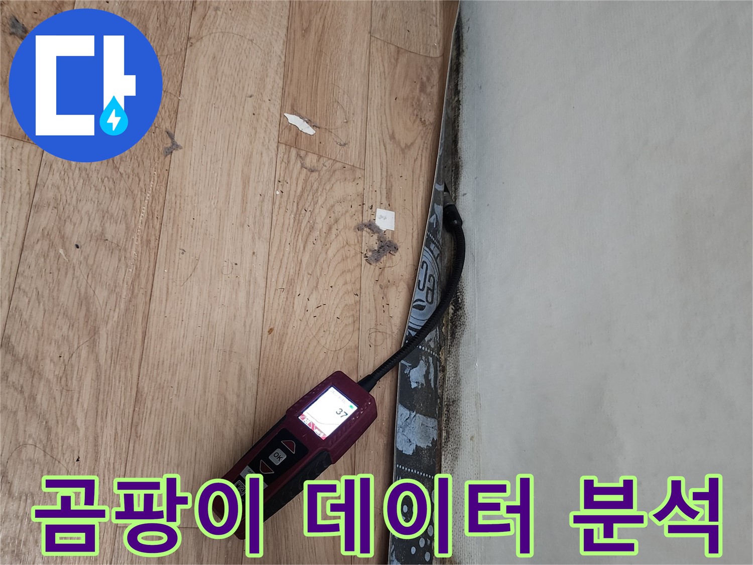 수원 정자동 누수탐지 - 벽 곰팡이, 누수, 습도 데이터 분석 및 맞춤 해결책