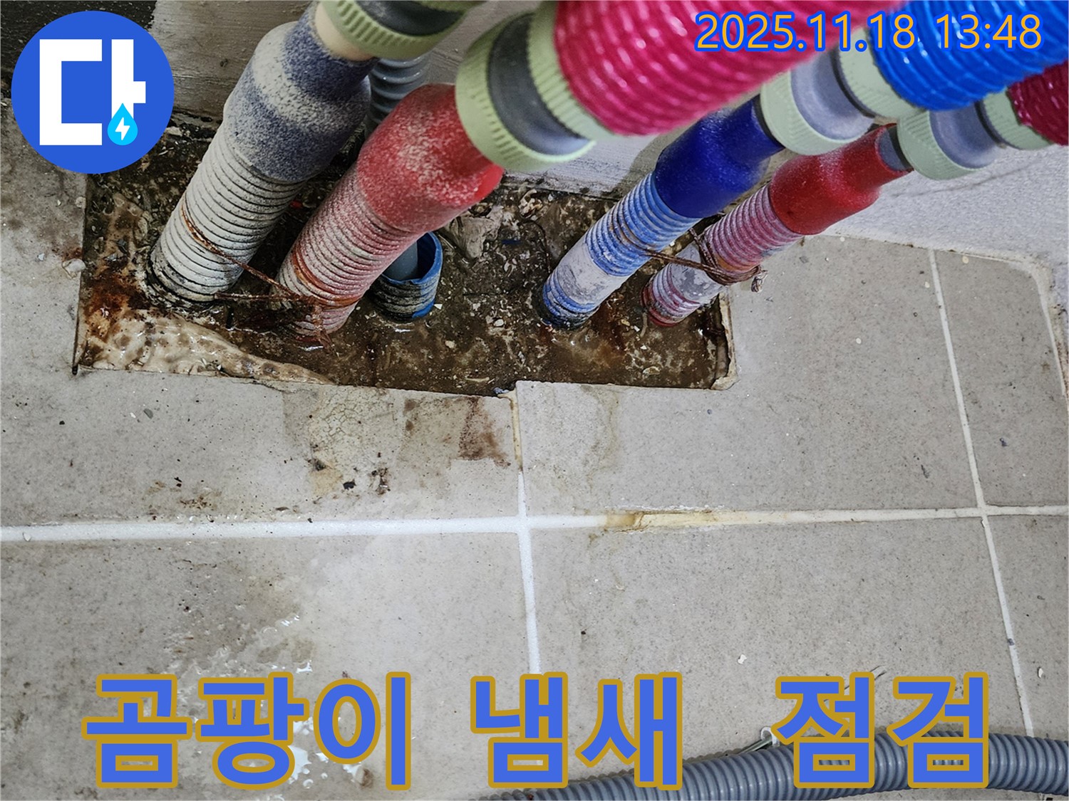 포천시 내촌면 진목리 - 곰팡이 냄새, 배관 누수 의심! 긴급 점검 실시.