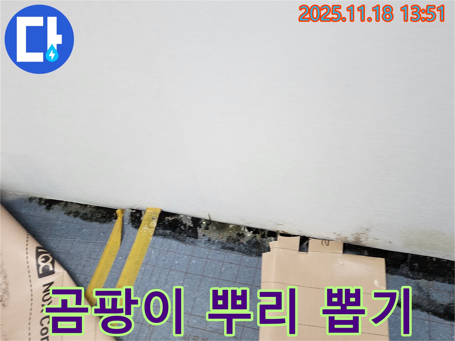 포천시 내촌면 진목리 누수 현장 - 곰팡이 뿌리까지 뽑아 완벽하게 제거하는 시공을 약속드립니다.