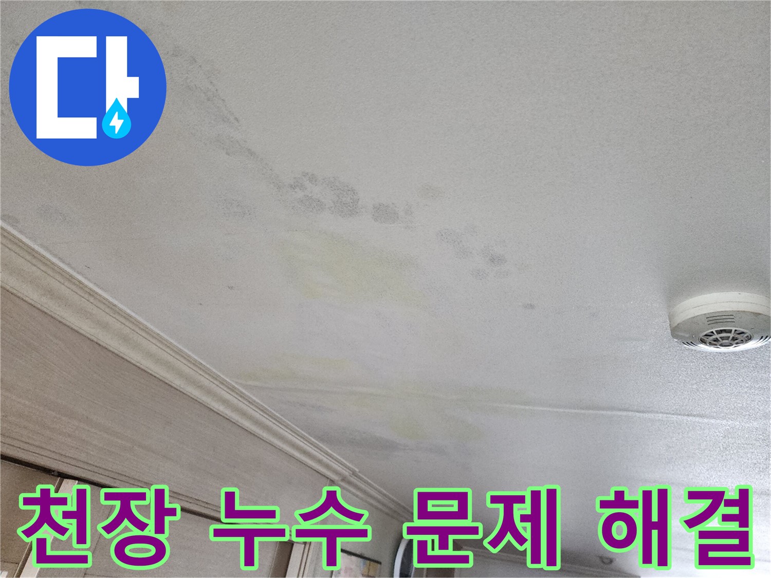 두산위브 아파트 천장 누수 문제 - 누수 해결을 위한 점검 과정