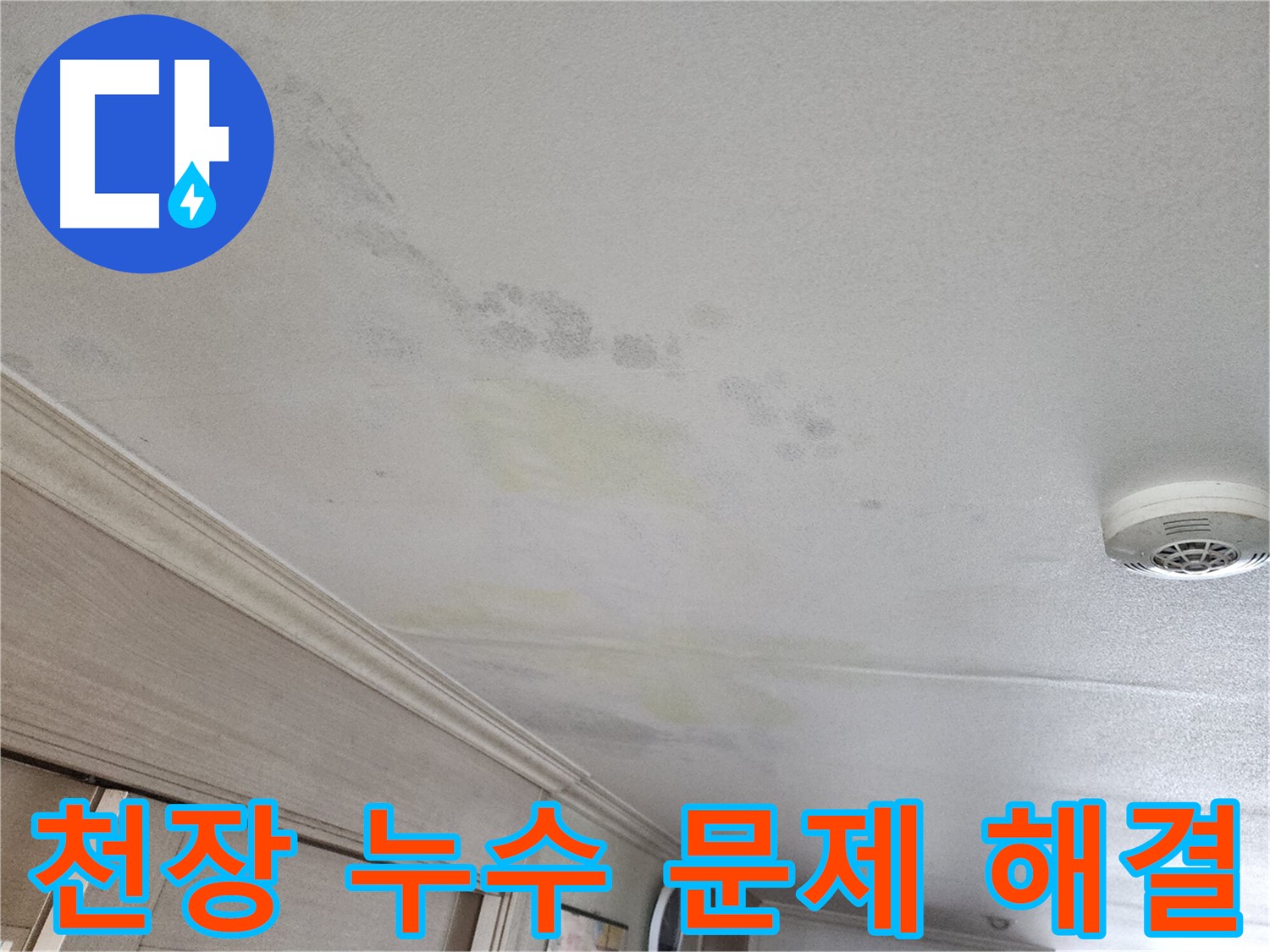 두산위브 아파트 천장 누수 문제 - 누수 해결을 위한 점검 과정