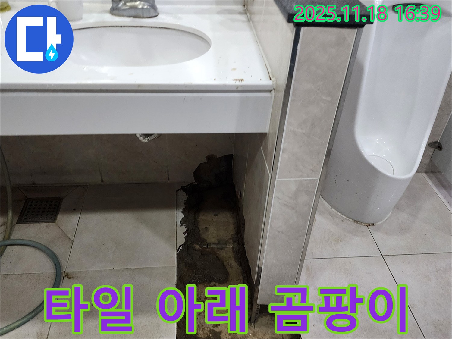 포천시 내촌면 소학리 화장실 세면대 누수 - 타일 아래 곰팡이 발견
