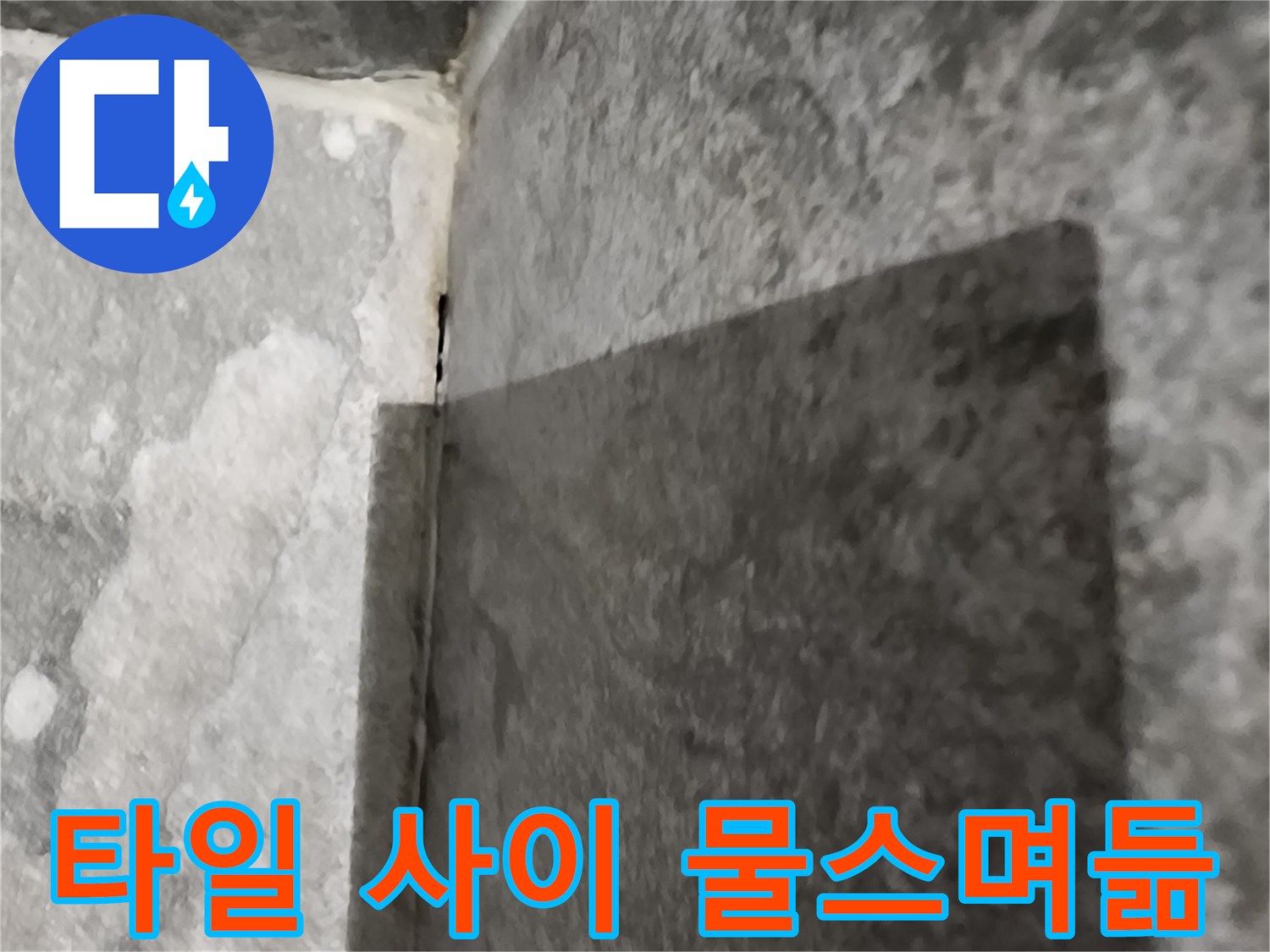 물이 스며들어 젖어 있는 타일 접합부 근접 촬영