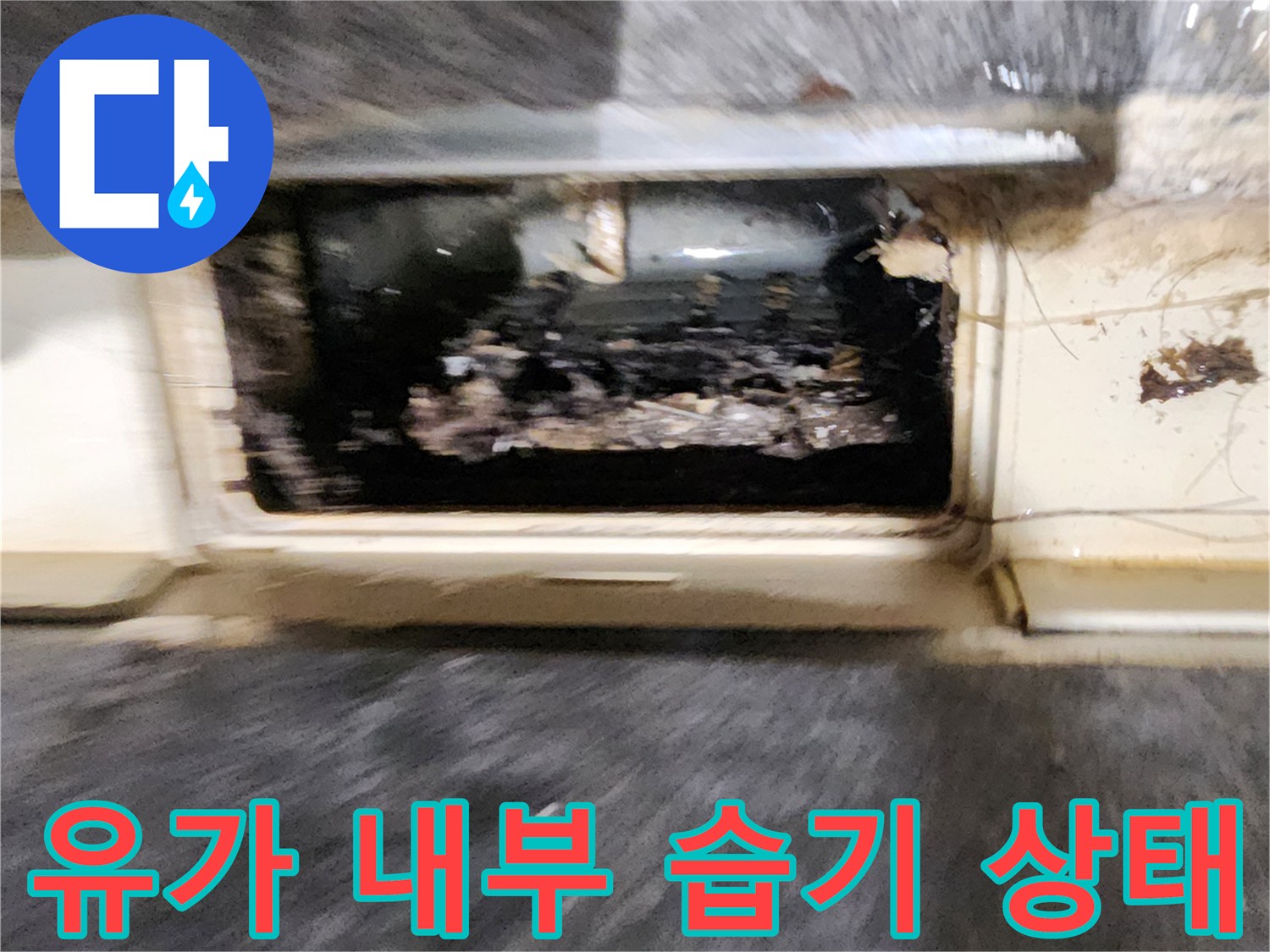 배수구 안쪽의 물 고임과 오염된 배관 주변 사진입니다.