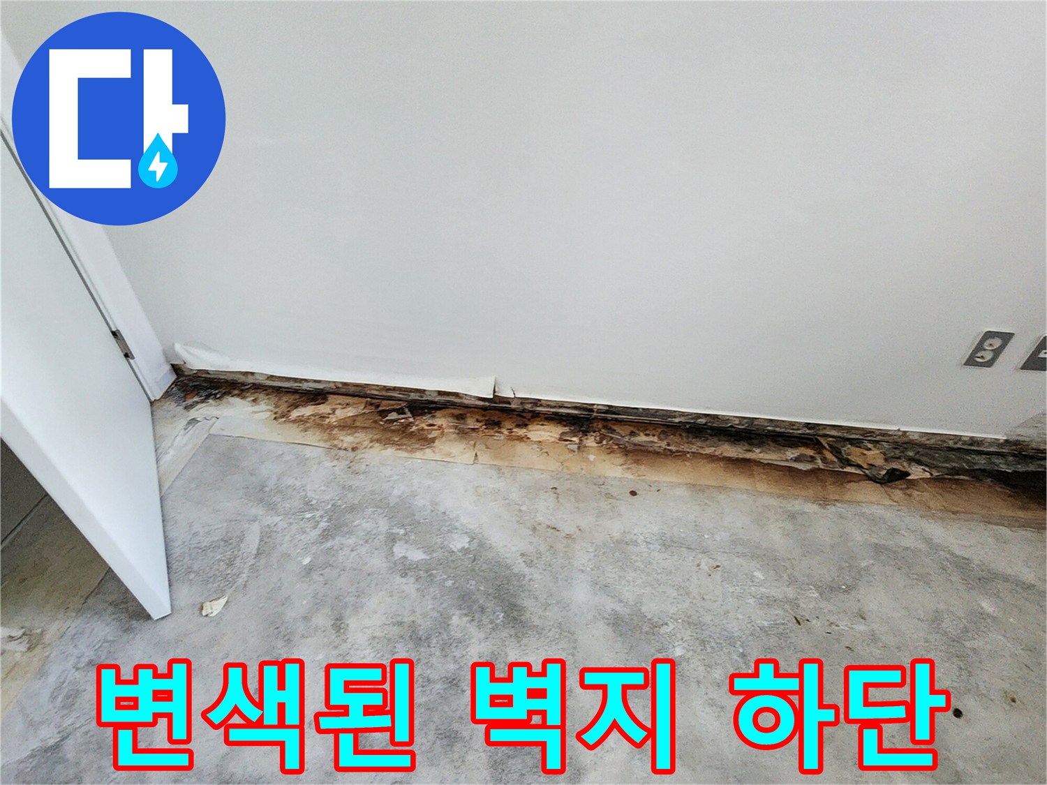 벽지와 바닥 접합부-심하게 변색되고 곰팡이가 발생한 상태